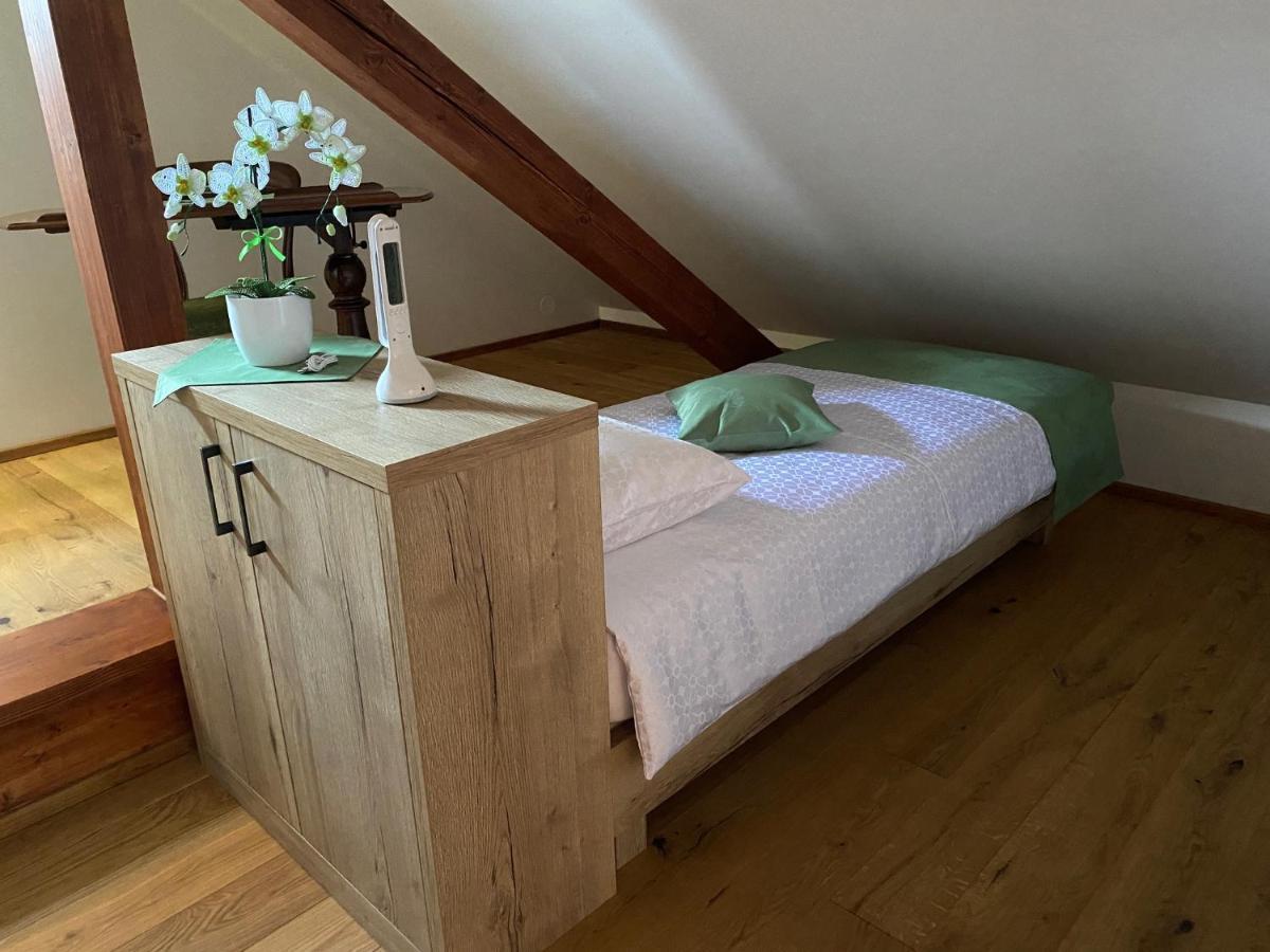 Villa Ruska Daca Ljubljana Exteriör bild